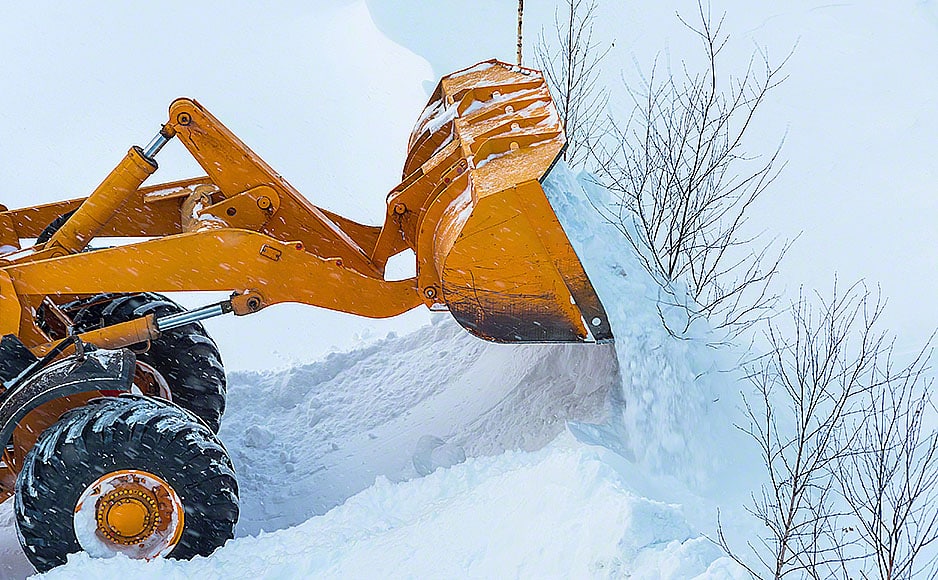 Excavator breaks young trees during harvesting snowdrifts