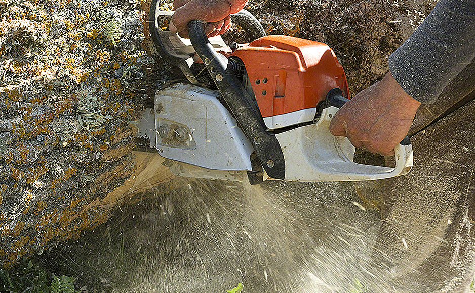 Easiest steps to find a tree removal contractor