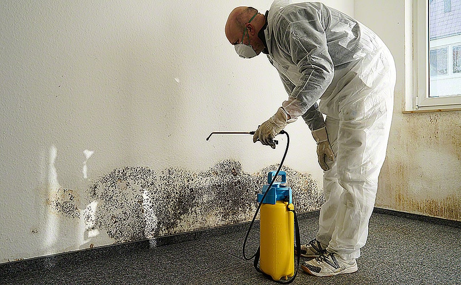 57670940 – specialist in combating mold in an apartment