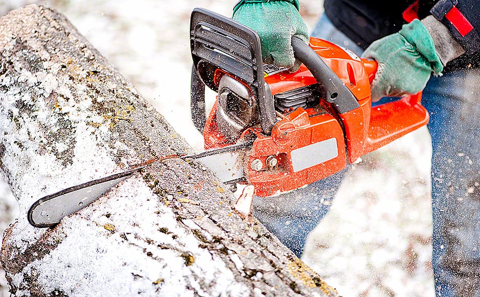 Adult worker cutting trees with chainsaw and tools