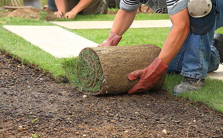 Do Sprinkler Systems Save Water?